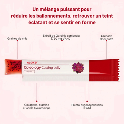 Glowzy Jelly Sticks-Le snack minceur qui coupe les fringales